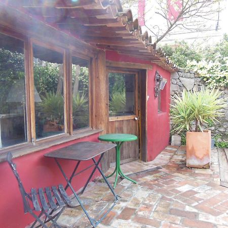 Villeseque-des-Corbieres Maison Dans Jardin מראה חיצוני תמונה