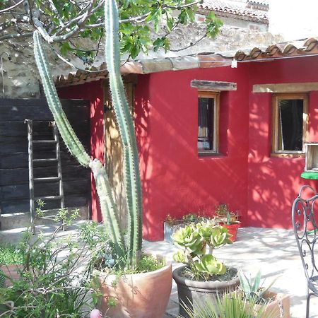 Villeseque-des-Corbieres Maison Dans Jardin מראה חיצוני תמונה
